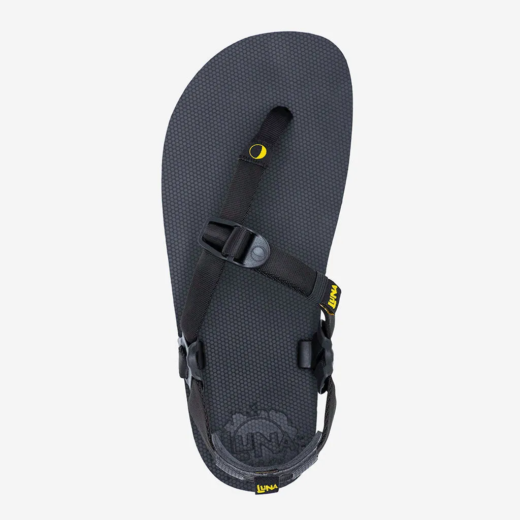 Middle Bear Winged Edition 🇺🇸 - Black