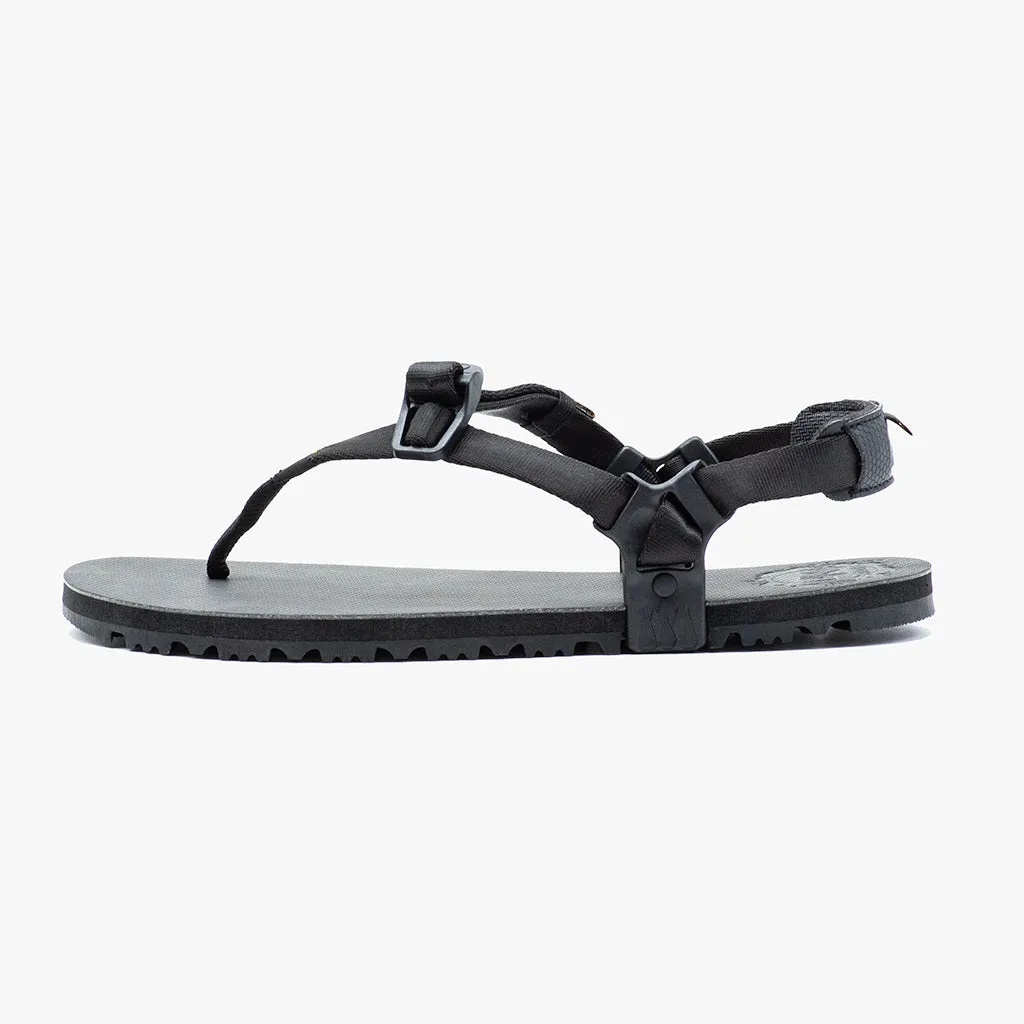 Middle Bear Winged Edition 🇺🇸 - Black