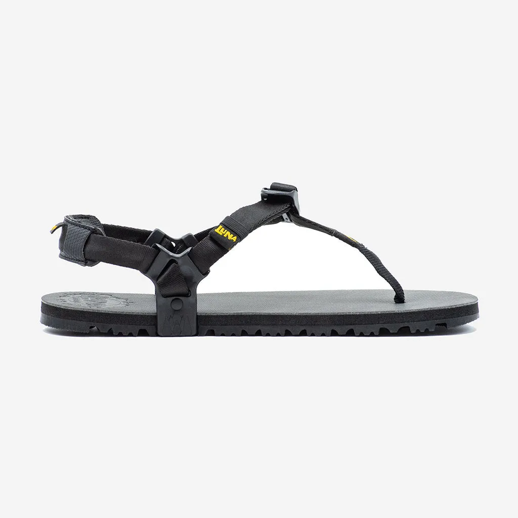 Middle Bear Winged Edition 🇺🇸 - Black