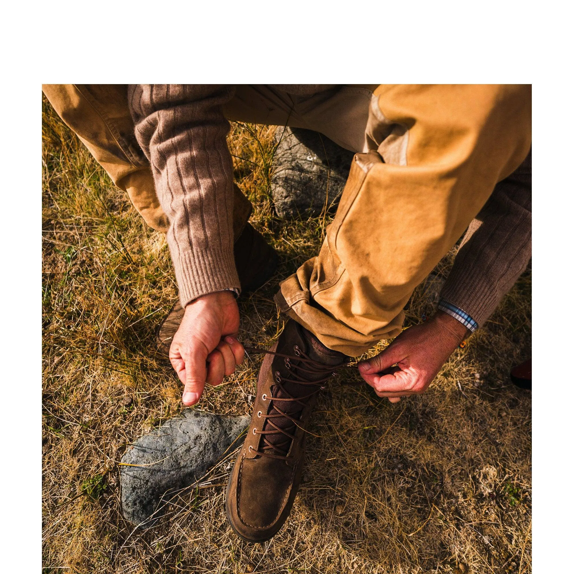 Sharptail 8" Dark Brown
